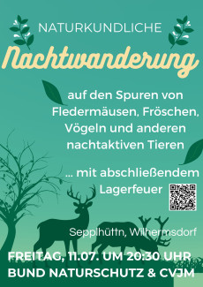 Nachtwanderung